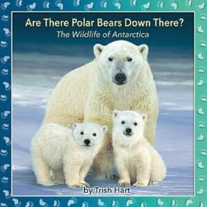 Are There Polar Bears Down There? Are There Polar Bears Down There?